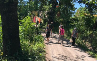 La Medicina Forestale al Servizio della tutela del Verde Pubblico