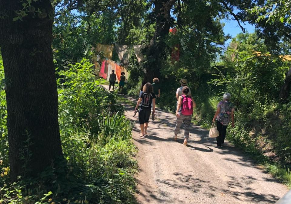 La Medicina Forestale al Servizio della tutela del Verde Pubblico